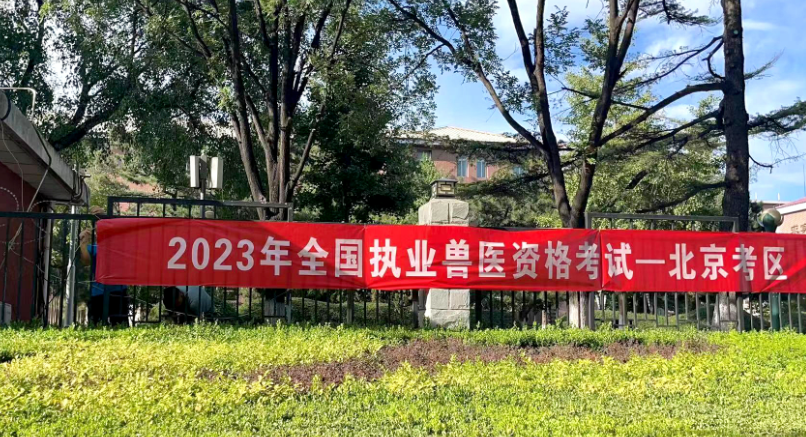 2024新澳免费资料